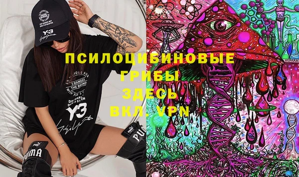 спиды Алексин
