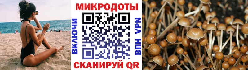 купить   Таруса  Галлюциногенные грибы прущие грибы 